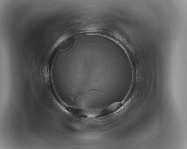 X0000113141450200909110924