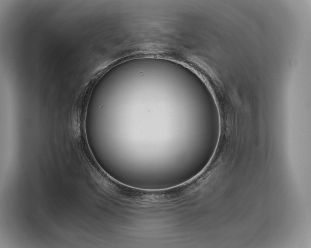 X0000113141451200909110924