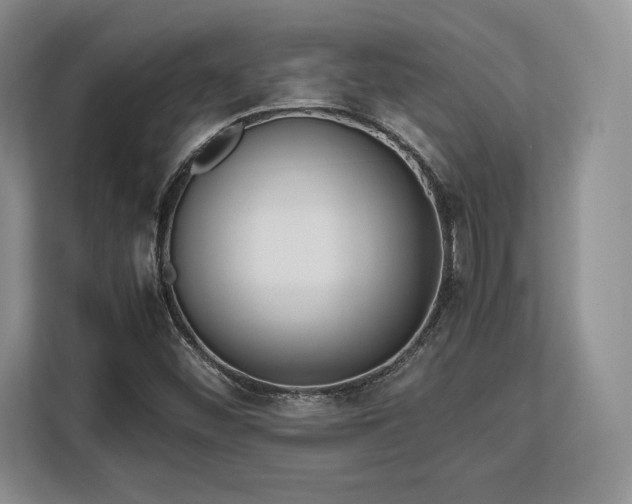 X0000113141452200909110924