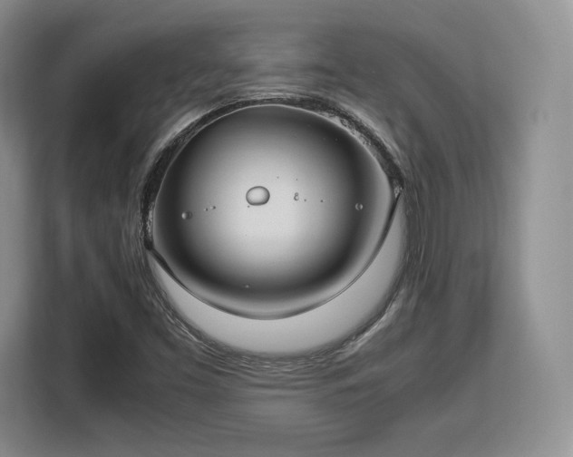 X0000113141453200909110924