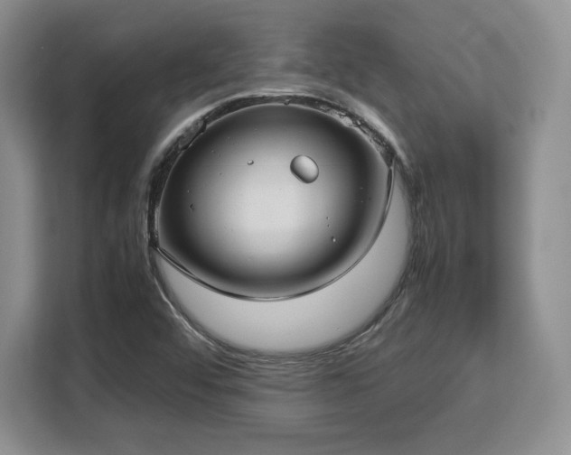 X0000113141456200909110924