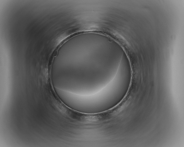 X0000113141457200909110924