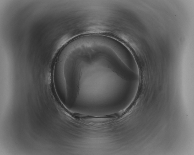 X0000113141459200909110924