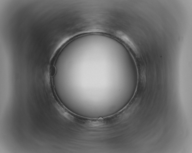 X0000113141460200909110924