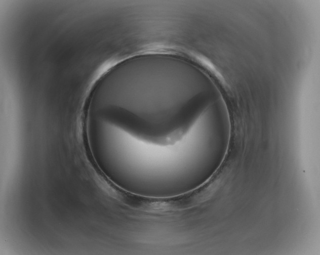 X0000113141463200909110924