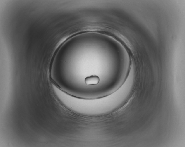 X0000113141465200909110924