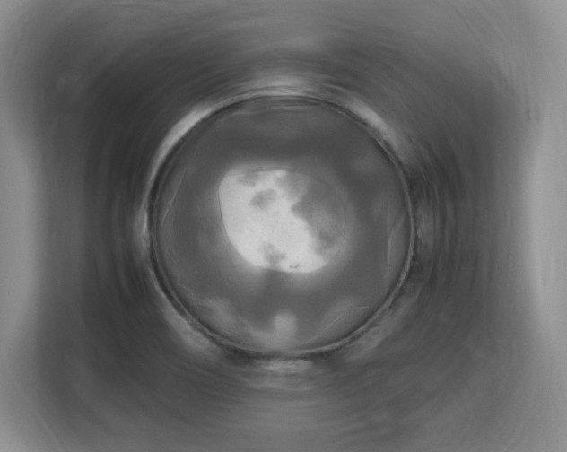 X0000113141466200909110924