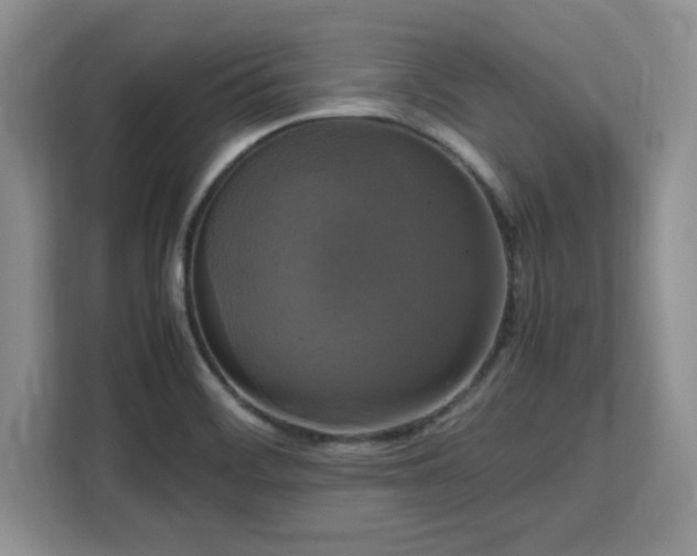 X0000113141468200909110924