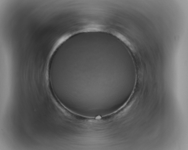 X0000113141469200909110924