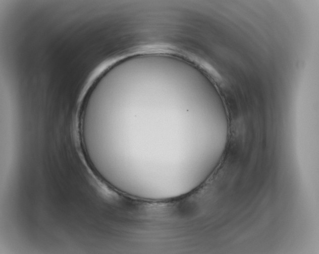 X0000113141470200909110924