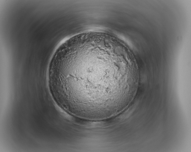 X0000113141471200909110924