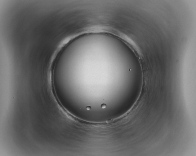 X0000113141472200909110924