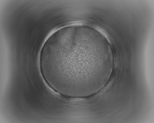 X0000113141475200909110924