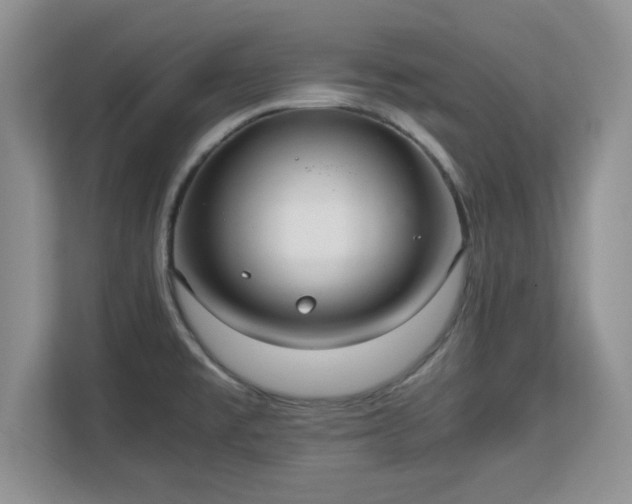 X0000113141477200909110924