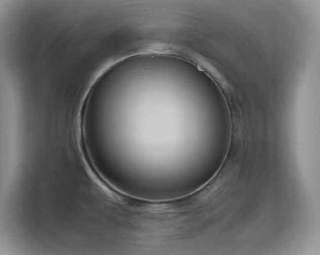 X0000113141479200909110924