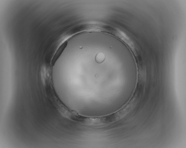 X0000113141481200909110924