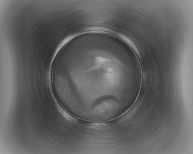 X0000113141482200909110924