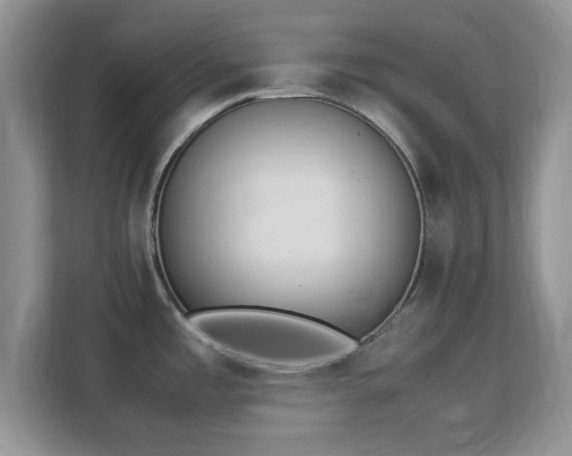 X0000113141485200909110924