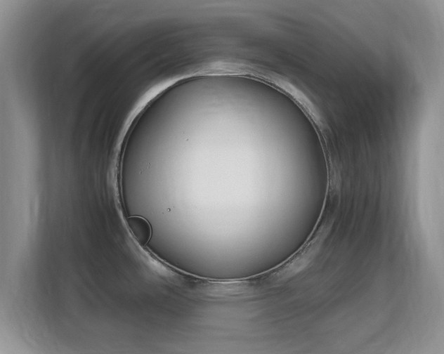 X0000113141486200909110924