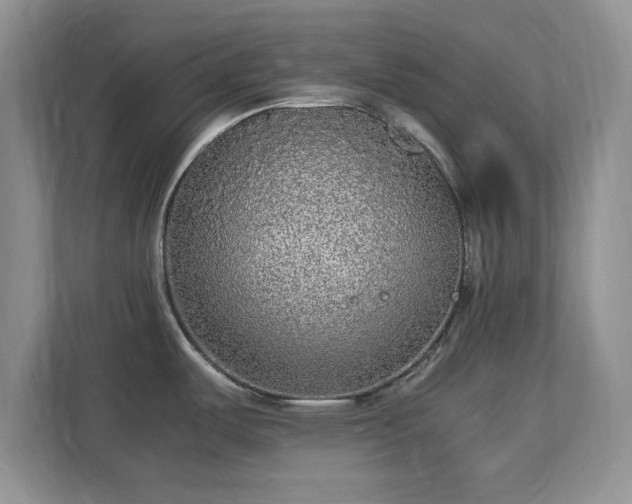 X0000113141487200909110924