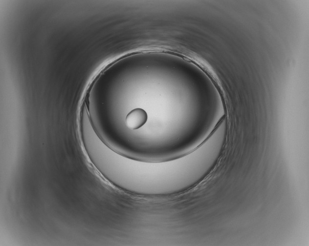 X0000113141488200909110924