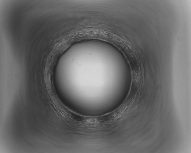 X0000113141489200909110923