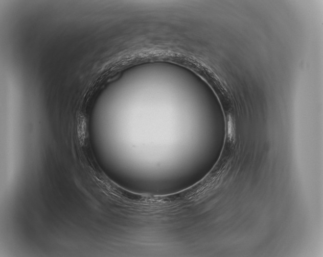 X0000113141492200909110923