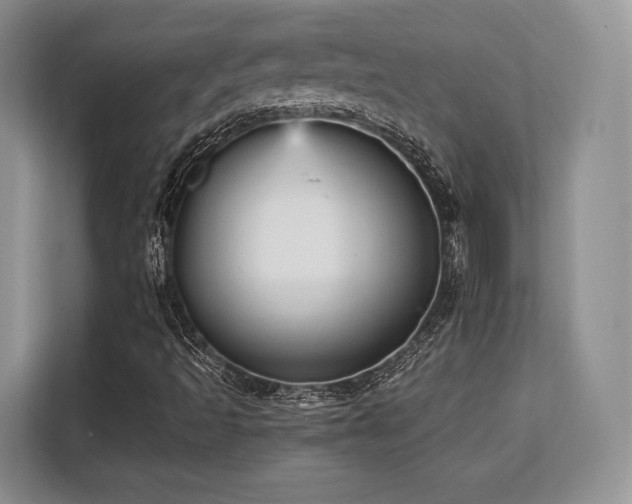 X0000113141493200909110923