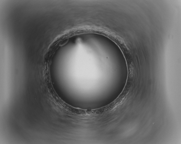 X0000113141494200909110923