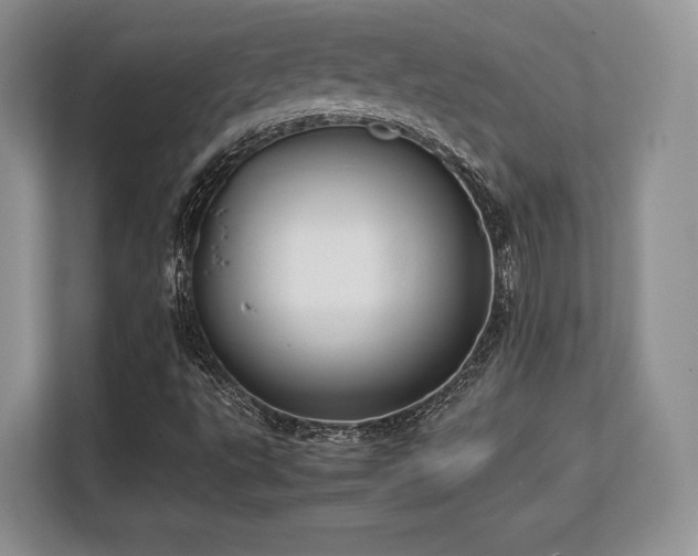 X0000113141495200909110923