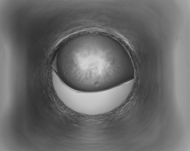 X0000113141496200909110923