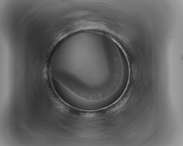 X0000113141497200909110923