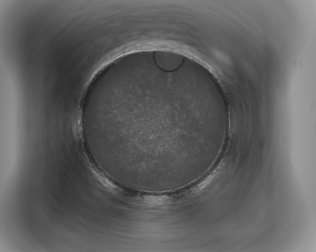 X0000113141498200909110923