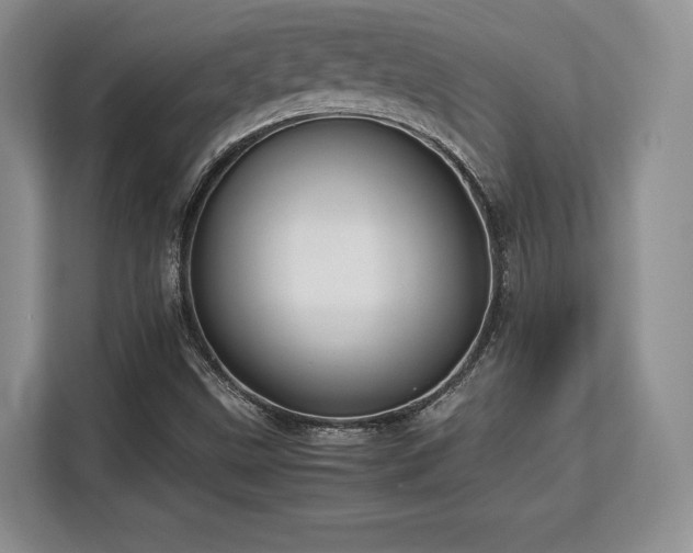 X0000113141499200909110923