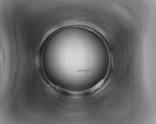 X0000113141501200909110923