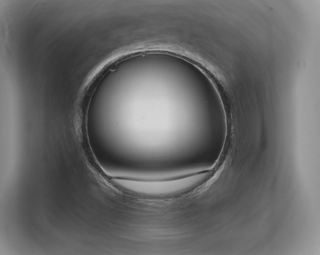 X0000113141502200909110923