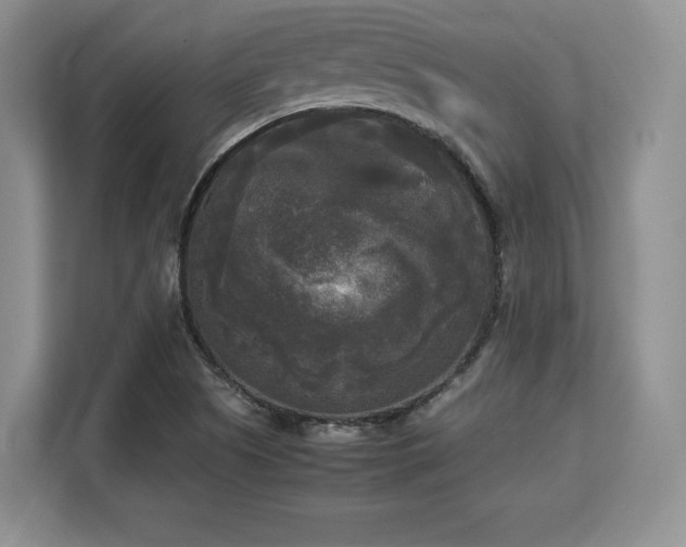 X0000113141505200909110923