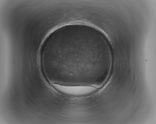 X0000113141506200909110923