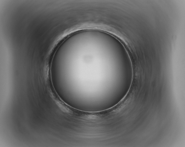 X0000113141507200909110923