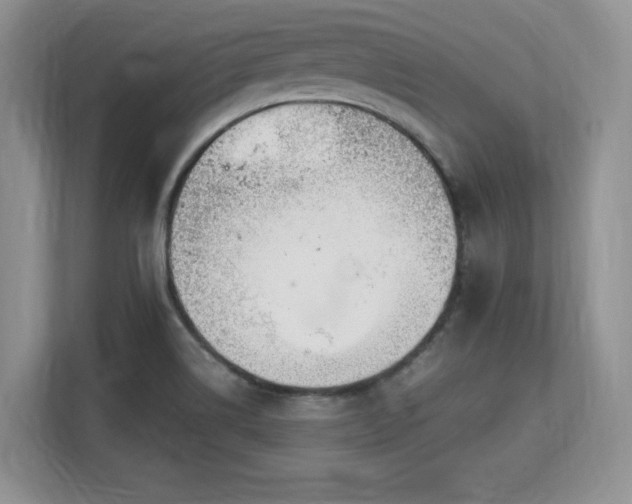 X0000113141514200909110923