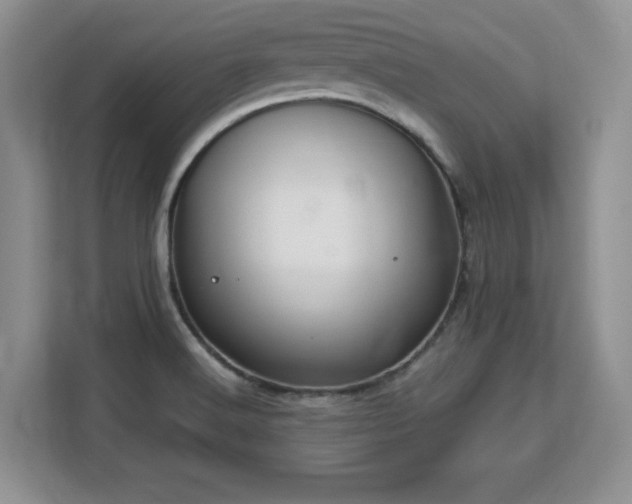 X0000113141516200909110924