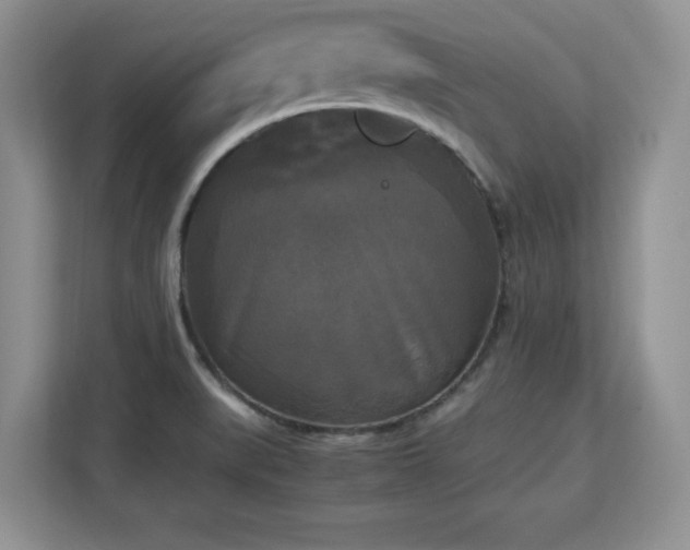 X0000113141519200909110924