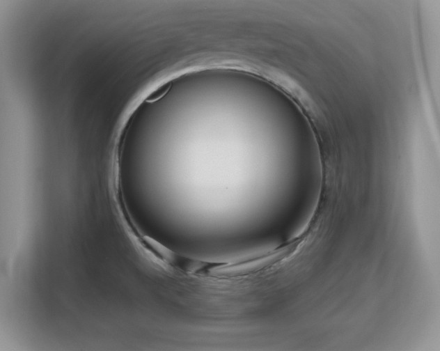 X0000113141520200909110924