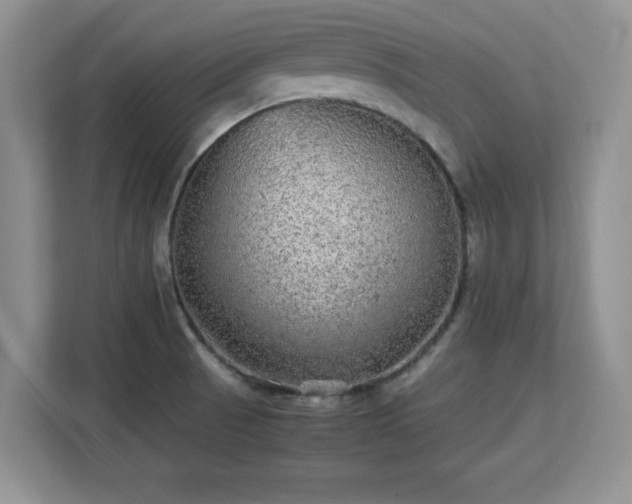 X0000113141521200909110924