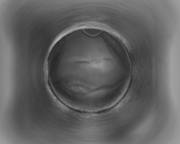 X0000113141522200909110924