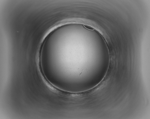 X0000113141523200909110924