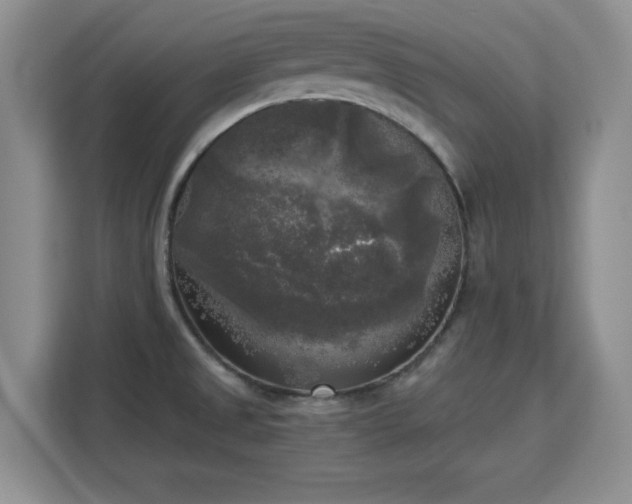 X0000113141525200909110924