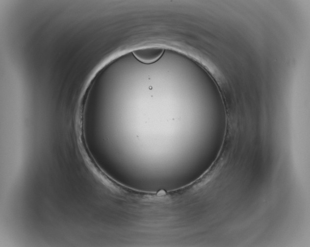 X0000113141526200909110924