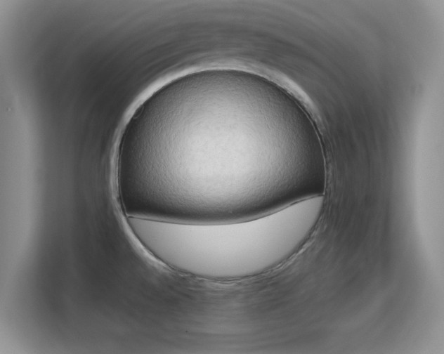 X0000113141528200909110924