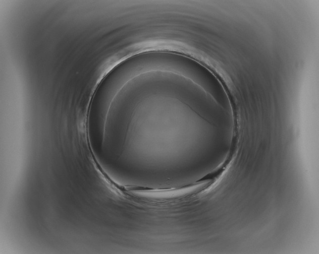 X0000113141529200909110924